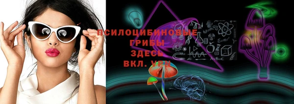 герыч Алексин