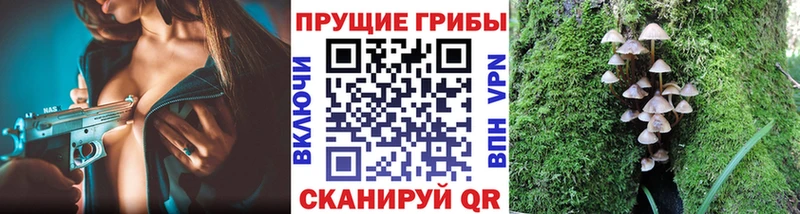 Галлюциногенные грибы MAGIC MUSHROOMS  наркошоп  Алушта 