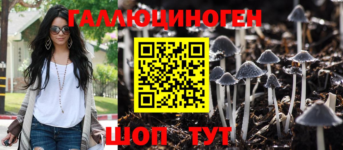 Галлюциногенные грибы Cubensis Алушта
