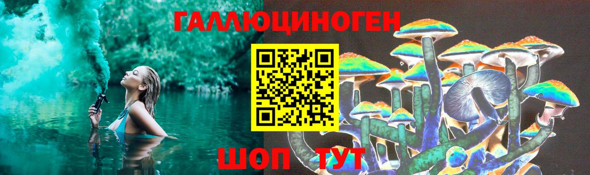 Алушта  Галлюциногенные грибы MAGIC MUSHROOMS  Вход с VPN 